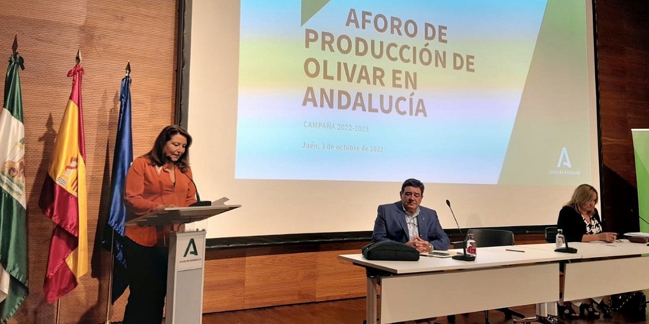 La Junta prevé una campaña marcada por la sequía y con una producción para Córdoba de 158.000 toneladas de aceite de oliva