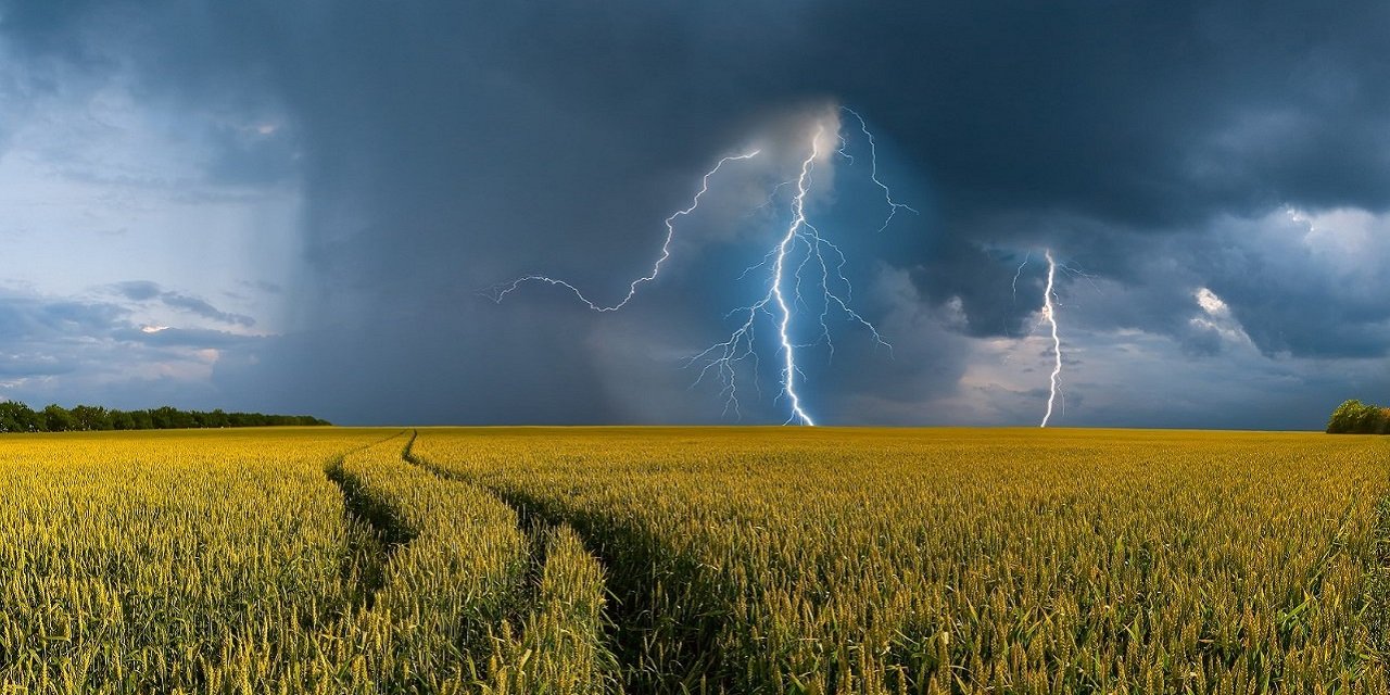 La Junta aumenta un 61% las ayudas al seguro agrario que alcanzarán los 12,4 millones en 2023