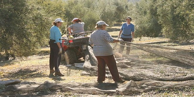 La provincia de Córdoba cierra el 2022 con 2.465 parados menos