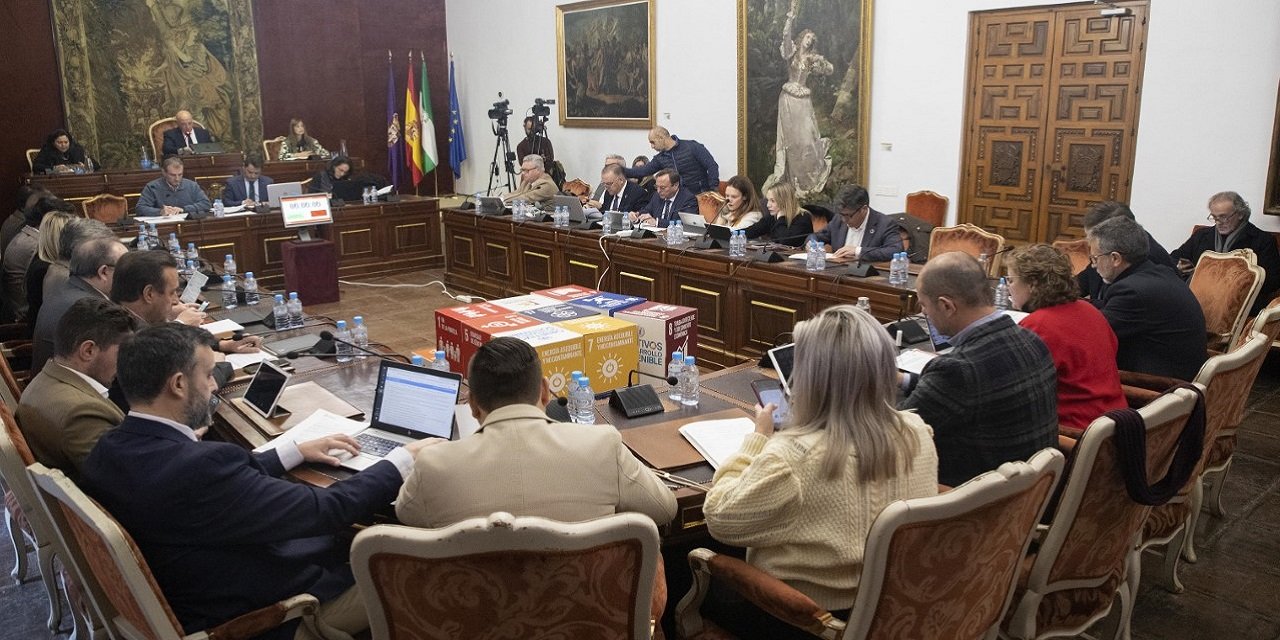 El Pleno de la Diputación de Córdoba aprueba el pago vía bizum y TPV en su ordenanza reguladora de tributos