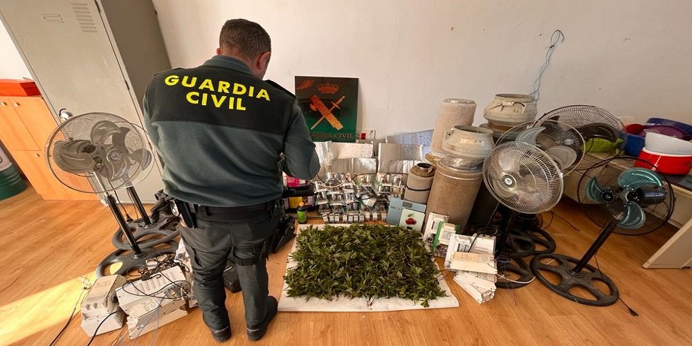 La Guardia Civil desmantela en Baena una plantación “indoor” de marihuana y detiene a una persona