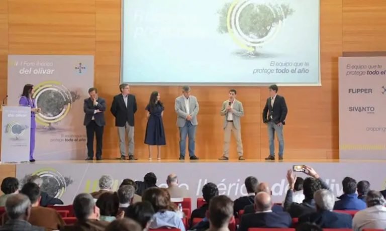 Advierten en Córdoba de que la PAC “limita” el control de las plagas en el olivar