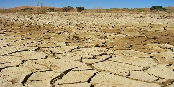 La Junta de Andalucía convoca ayudas por ocho millones de euros para dar respuesta a la sequía