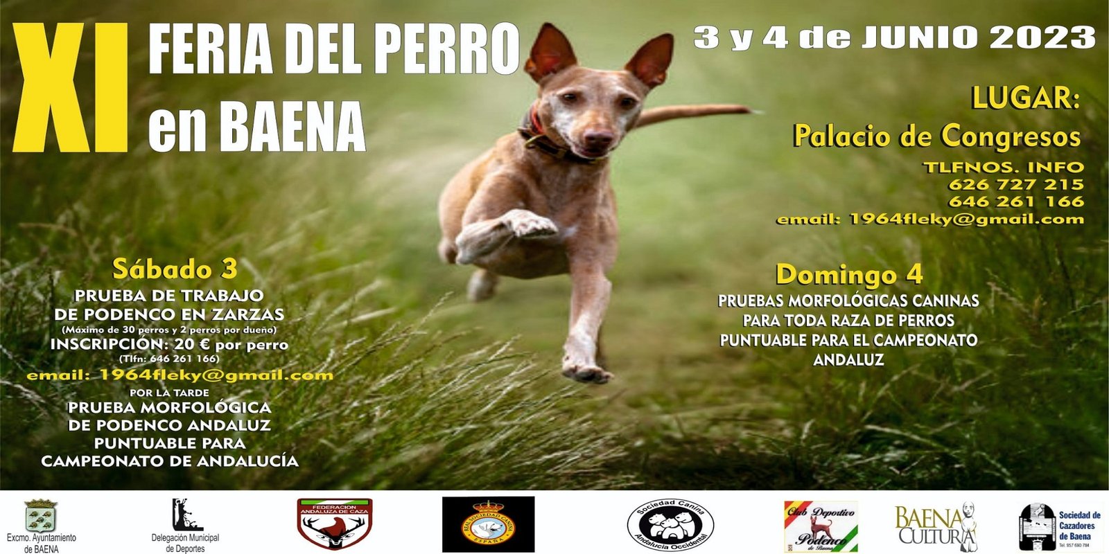 Intensa agenda deportiva con importantes citas en Baena y otros puntos de la geografía andaluza