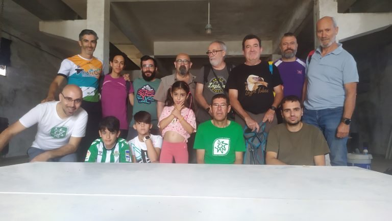 La colonia de cernícalos primilla del silo de Baena desciende hasta las 19 parejas en 2023