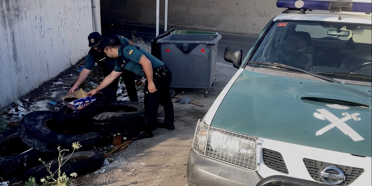 La Guardia Civil rescata a siete cachorros de perro de raza mastín abandonados en un contenedor
