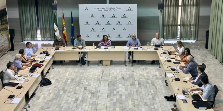 La Mesa de Interlocución Agraria acuerda pedir ayudas al olivar de la Reserva de Crisis de la PAC o de la Medida 22