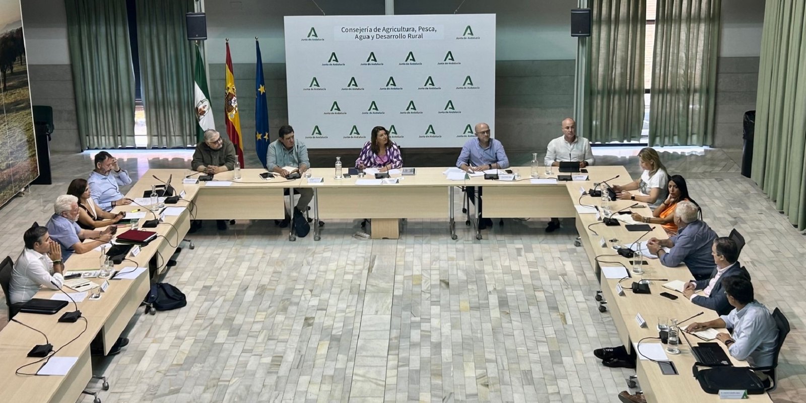 La Mesa de Interlocución Agraria acuerda pedir ayudas al olivar de la Reserva de Crisis de la PAC o de la Medida 22