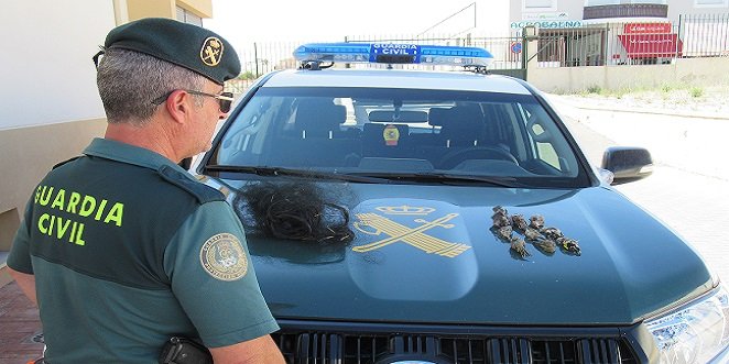 El Seprona de Baena investiga al presunto autor de un delito contra la fauna al capturar aves insectívoras empleando ‘costillas’