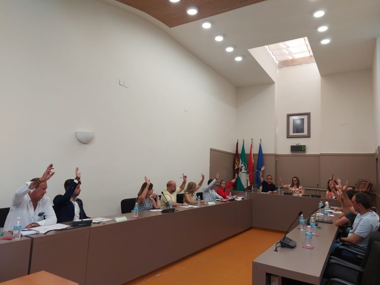 El Ayuntamiento de Baena celebra su pleno organizativo y designa a los nuevos representantes en órganos y entidades