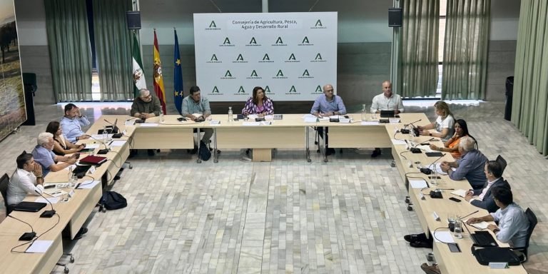 La Junta de Andalucía insiste en pedir al Gobierno de España que la Reserva de Crisis se destine al olivar