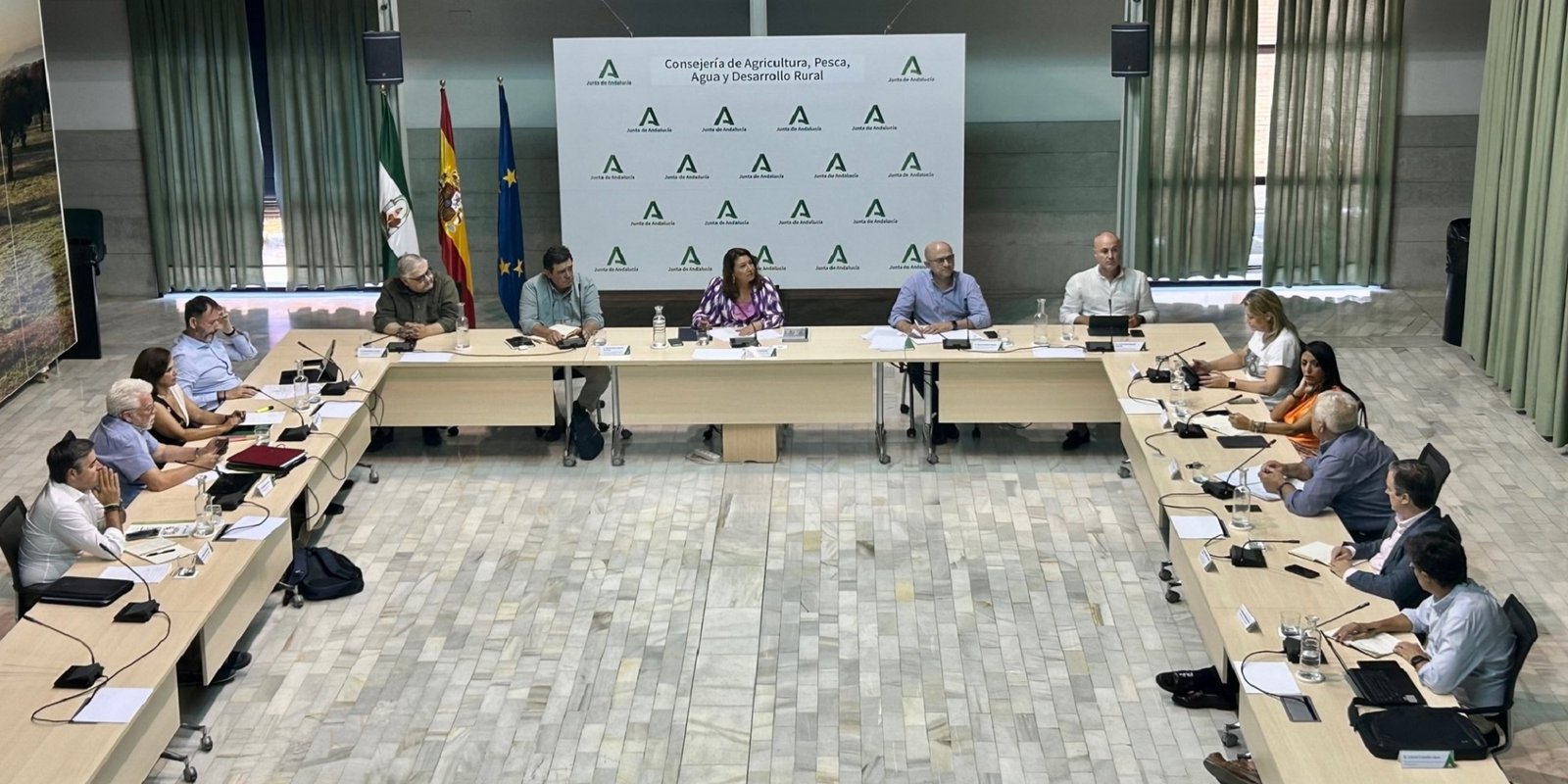 La Junta de Andalucía insiste en pedir al Gobierno de España que la Reserva de Crisis se destine al olivar