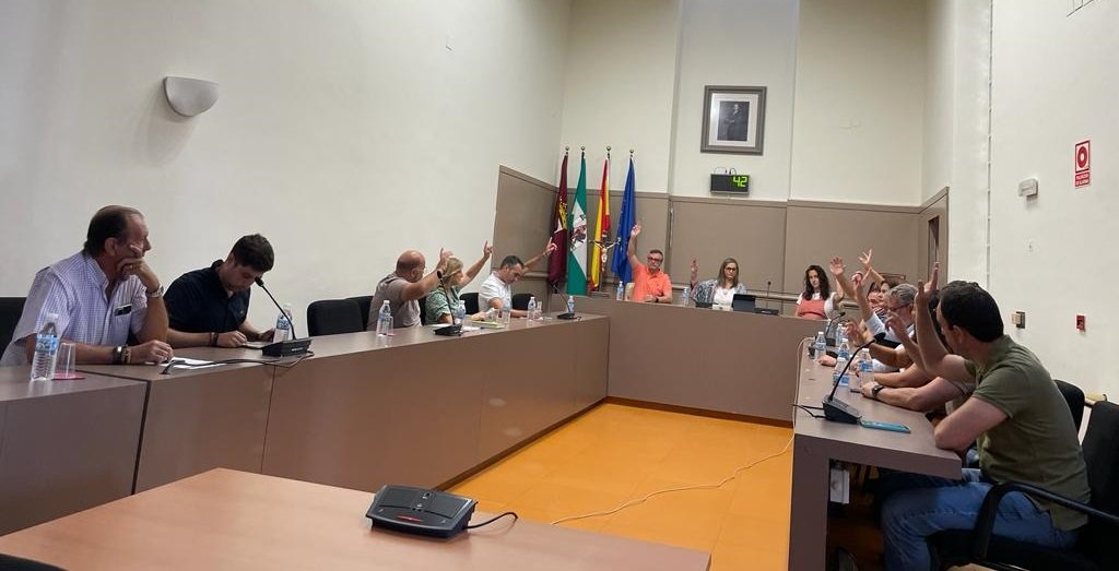 El Pleno aprueba el pago de una factura de 180.700 euros para la ayuda a domicilio