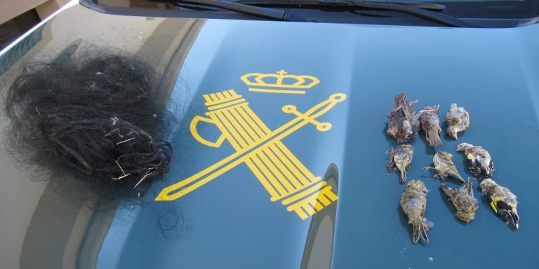 El SEPRONA de Baena investiga a una persona por la captura ilegal de aves fringílidas empleando ‘red de niebla o japonesa’