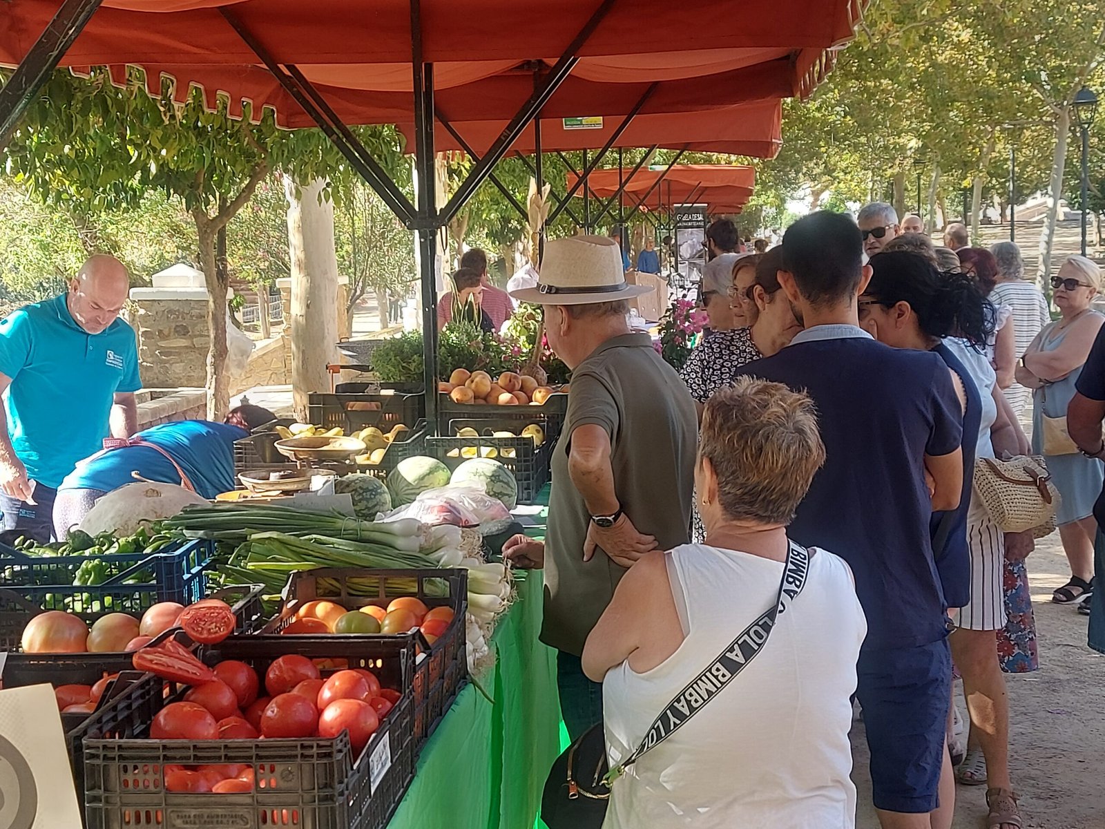 Los mejores productos de la huerta de Albendín a la venta en su XII Mercadillo Hortelano