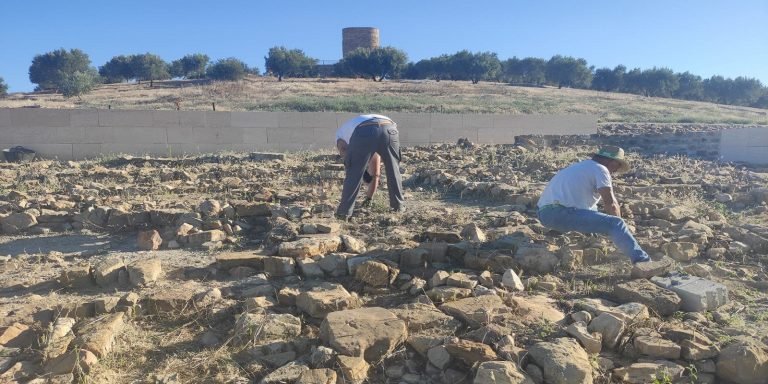Comienza la obra de puesta en valor del templo romano de Torreparedones