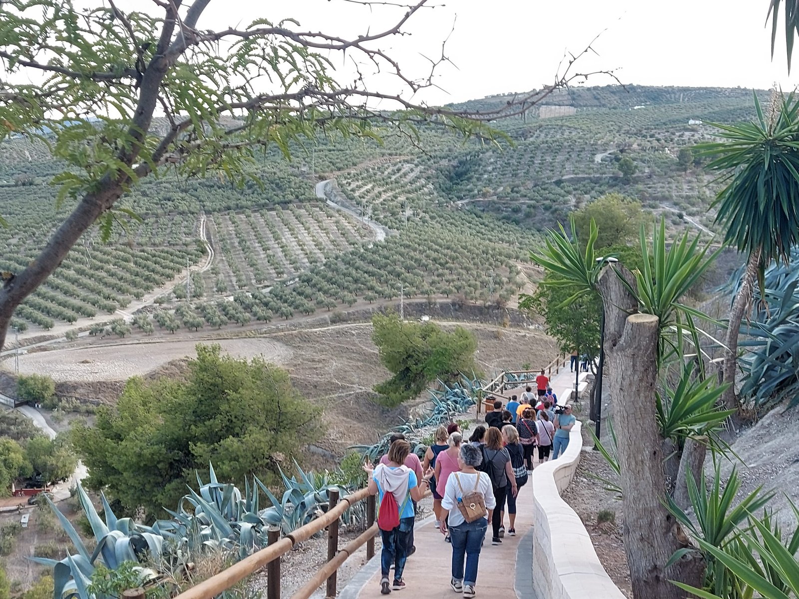 Las obras del PFEA en Baena regeneran la Ladera Sur y la dotan de nuevos senderos