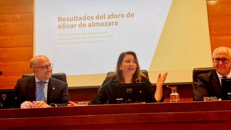 El primer aforo del olivar de Andalucía para la campaña 2023-2024 prevé una ligera subida en la producción de aceite de oliva