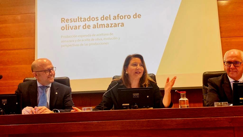 El primer aforo del olivar de Andalucía para la campaña 2023-2024 prevé una ligera subida en la producción de aceite de oliva