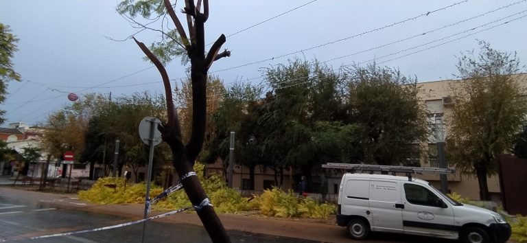 El Ayuntamiento de Baena lanza un aviso por temporal de viento y lluvia