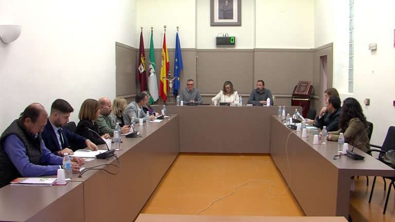 El Pleno de Baena no resuelve la incompatibilidad de una concejala del PP para trabajar en el Ayuntamiento