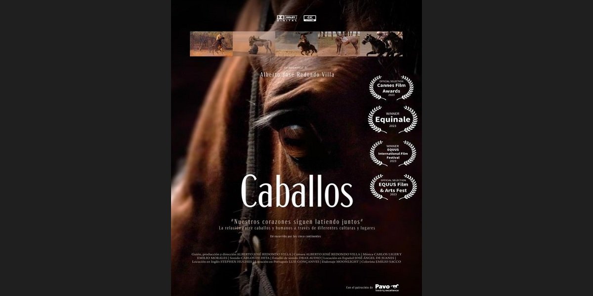 Llega a Baena el documental ‘Caballos’, de Alberto Redondo, sobre la historia común de humanos y caballos