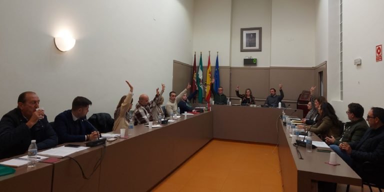 El Pleno de Baena aprueba el presupuesto para 2024 por un importe de casi 19 millones de euros