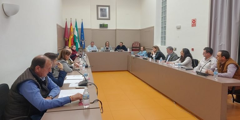 El Pleno del Ayuntamiento de Baena aprueba el pago de facturas a la empresa de ayuda a domicilio