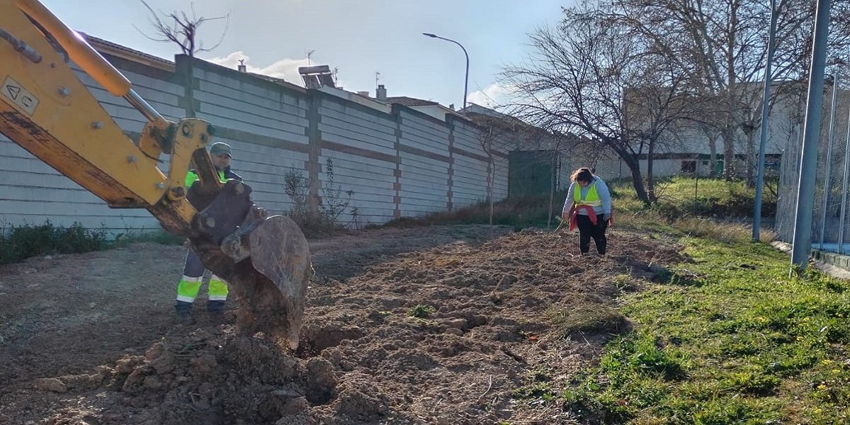 El Ayuntamiento de Baena inicia un nuevo plan de reforestación en las instalaciones deportivas
