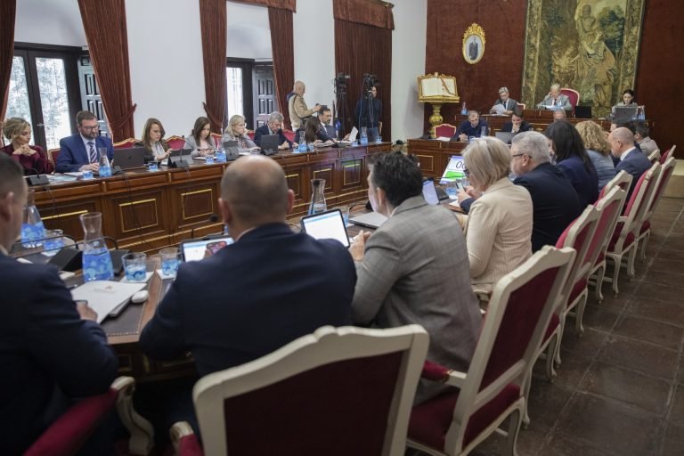 El Pleno de la Diputación de Córdoba aprueba el programa para el mantenimiento y dinamización de los ‘Puntos Vuela’