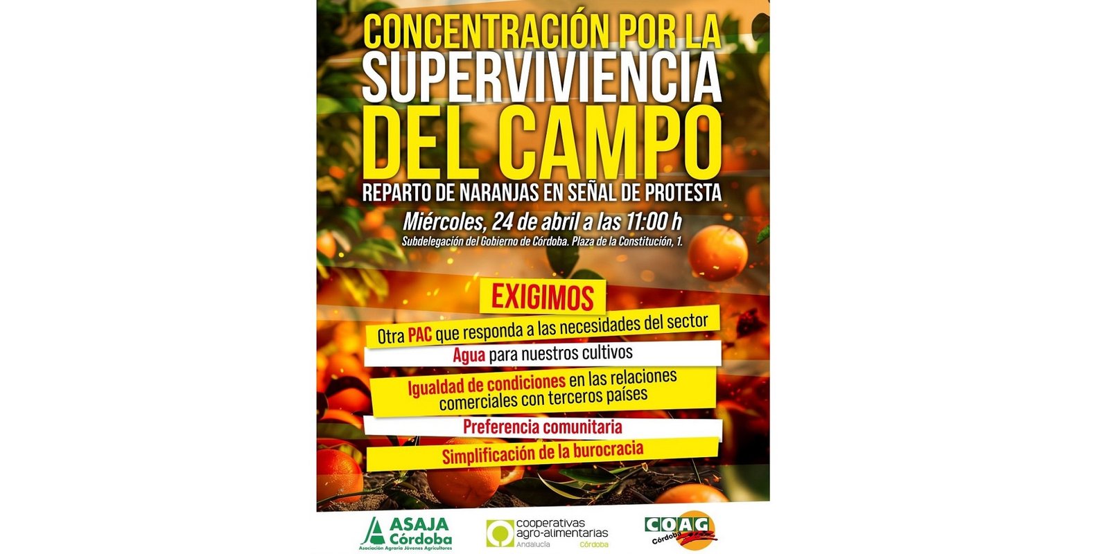 Las organizaciones agrarias protestan de nuevo en Córdoba por la “supervivencia del campo”