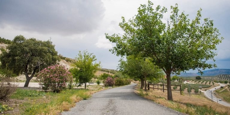 El Ayuntamiento de Baena acuerda con ADIF la cesión de unos terrenos en la vía verde