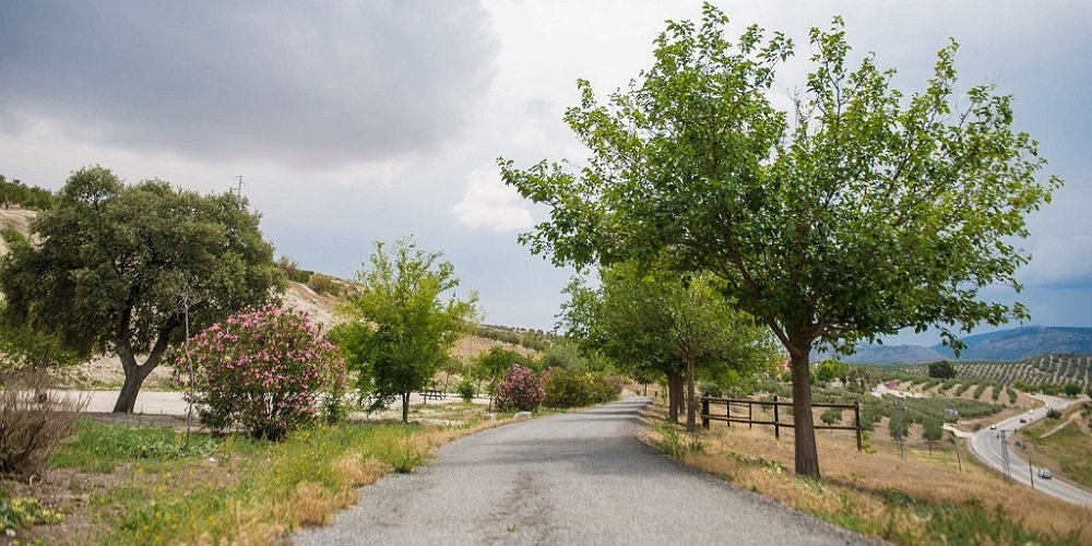 El Ayuntamiento de Baena acuerda con ADIF la cesión de unos terrenos en la vía verde