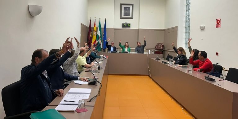 El Pleno de Baena aprueba la propuesta técnica de adjudicación del contrato de ayuda a domicilio