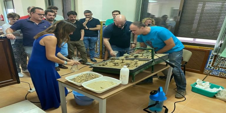 Córdoba acogerá la XVI edición del Curso Superior de Especialización en Olivicultura del IFAPA