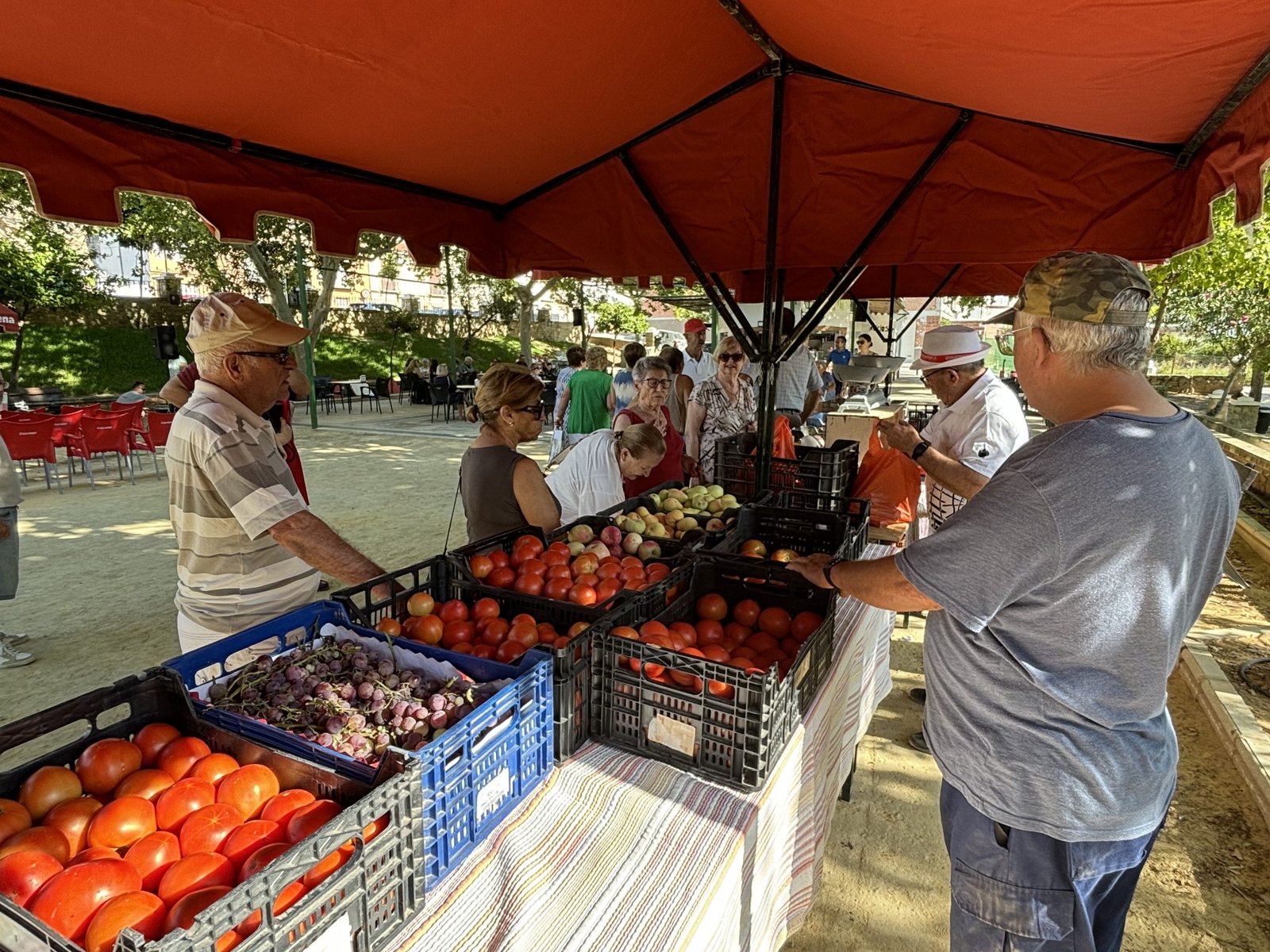 Albendín celebra este fin de semana la XIII Ruta de la Tapa y Mercadillo Hortelano