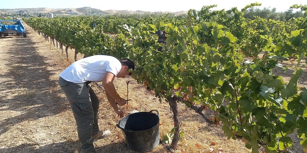 Subida del paro en la provincia de Córdoba con 597 desempleados más en agosto