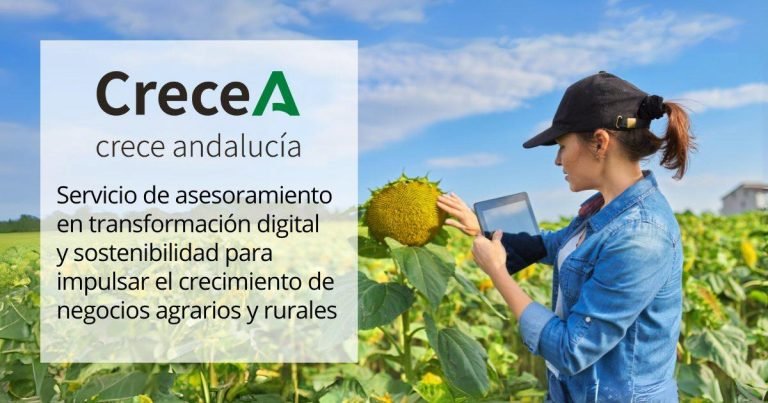 Un total de 114 explotaciones agrarias cordobesas avanzan en digitalización y sostenibilidad con el programa ‘CreceA’
