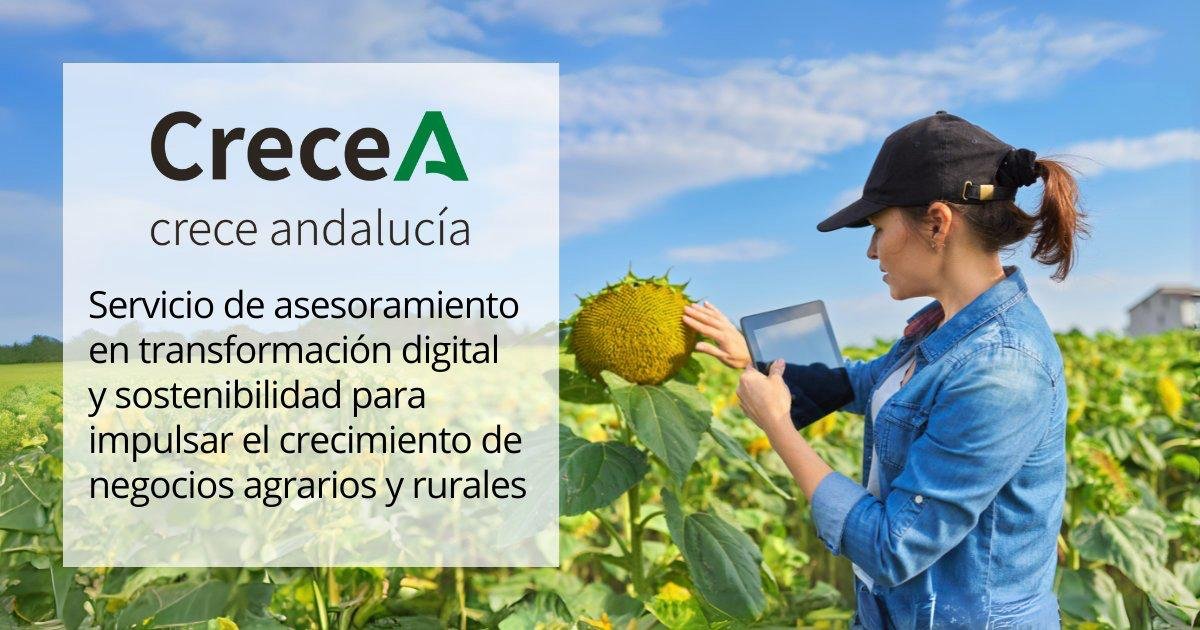 Un total de 114 explotaciones agrarias cordobesas avanzan en digitalización y sostenibilidad con el programa ‘CreceA’