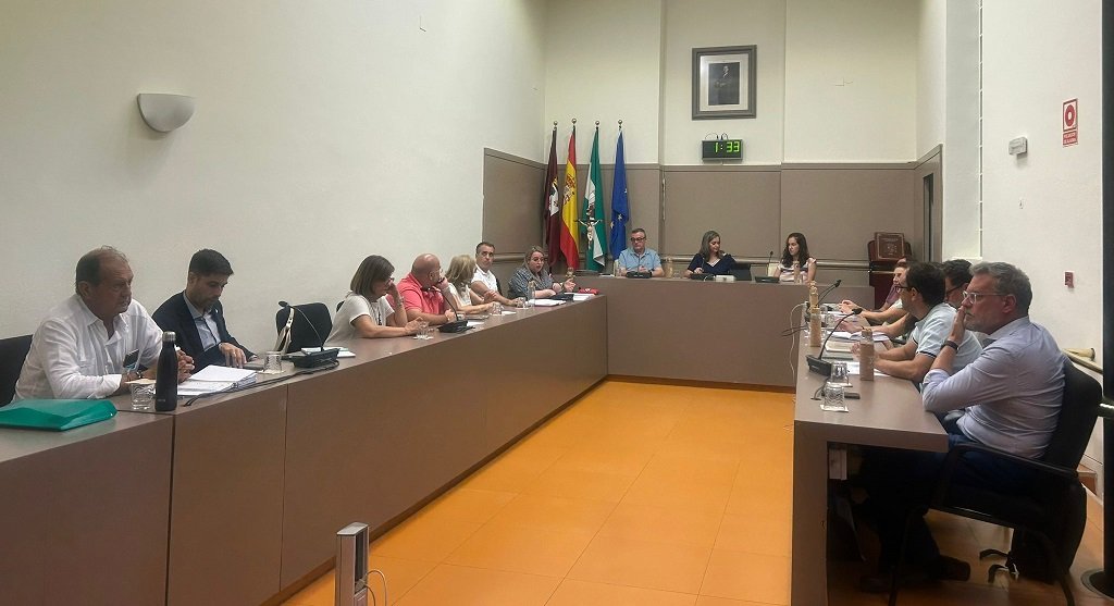 El Pleno de Baena aprueba usar los tejados de edificios públicos para la instalación de placas solares