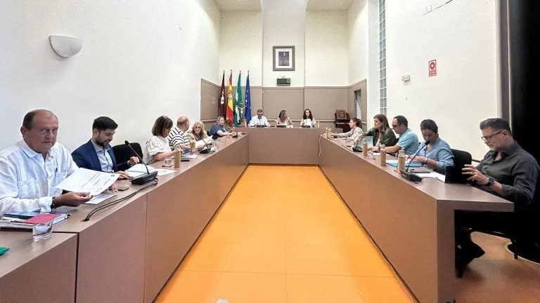 El Pleno de Baena aprueba el reglamento de concesión de honores y protocolo