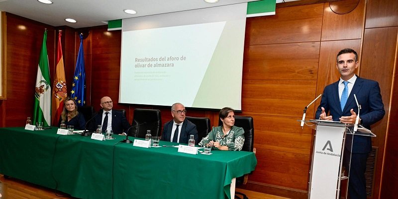 Andalucía prevé una producción de más de un millón de toneladas de aceite de oliva en la próxima campaña