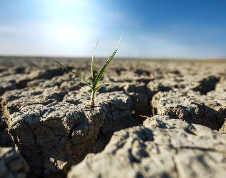 La Junta apoya a la Universidad de Córdoba con más de 800.000 euros para el desarrollo de proyectos innovadores contra la sequía