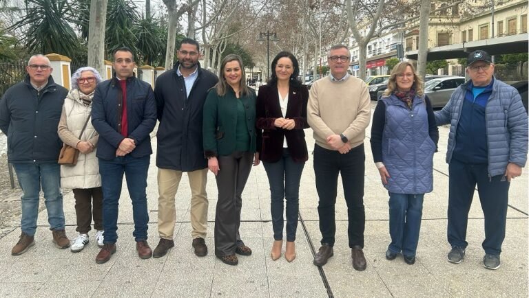 El PSOE de Córdoba reafirma su “compromiso” con la conversión de la N-432 en autovía
