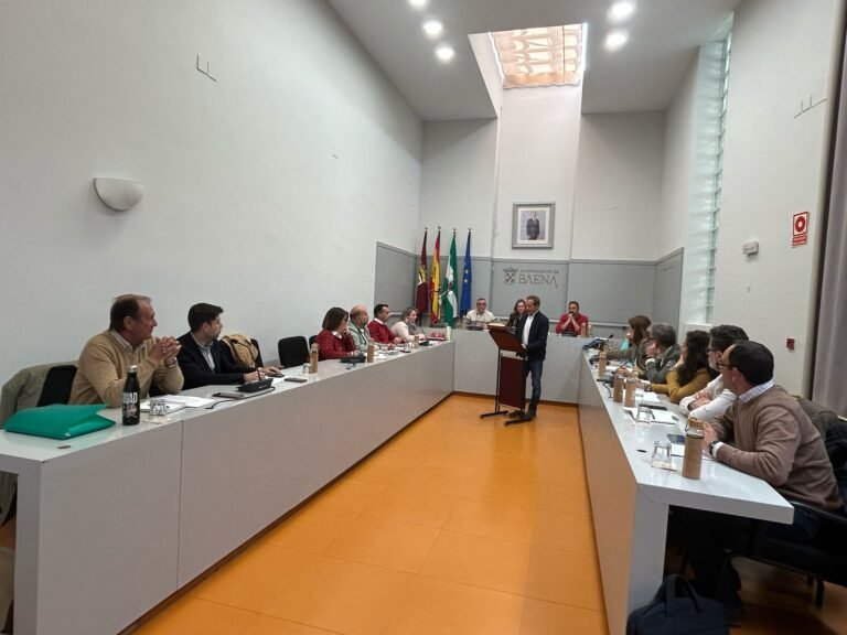 El Pleno aprueba el contrato de gestión de suministro eléctrico por un importe de 22,9 millones de euros