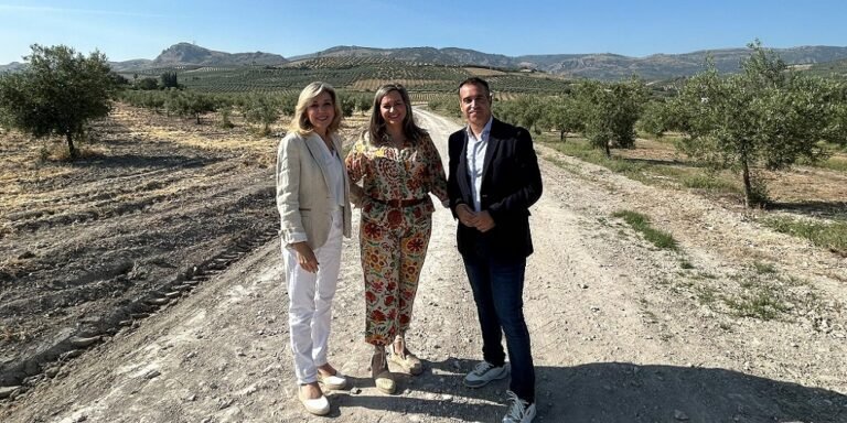 El Ayuntamiento arregla 775 metros del camino de Los Llanos en el paraje del Cobertillo