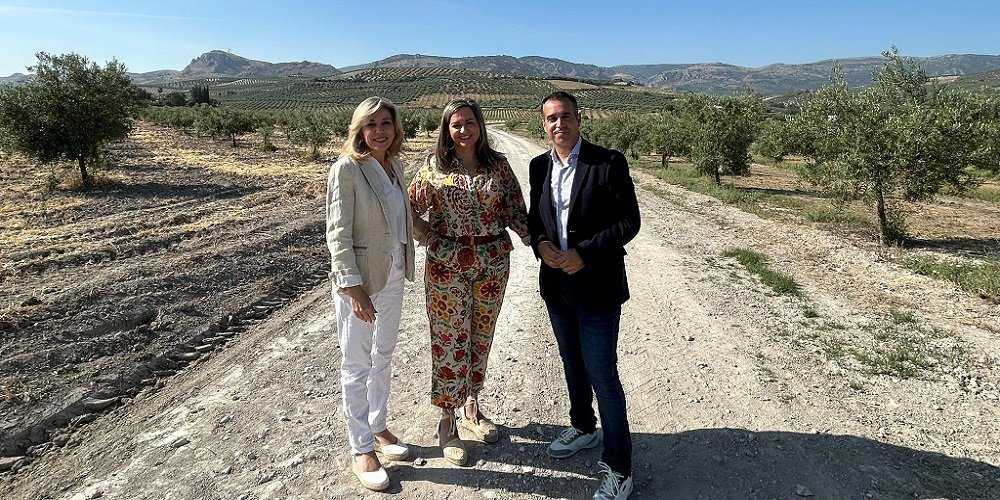 El Ayuntamiento arregla 775 metros del camino de Los Llanos en el paraje del Cobertillo