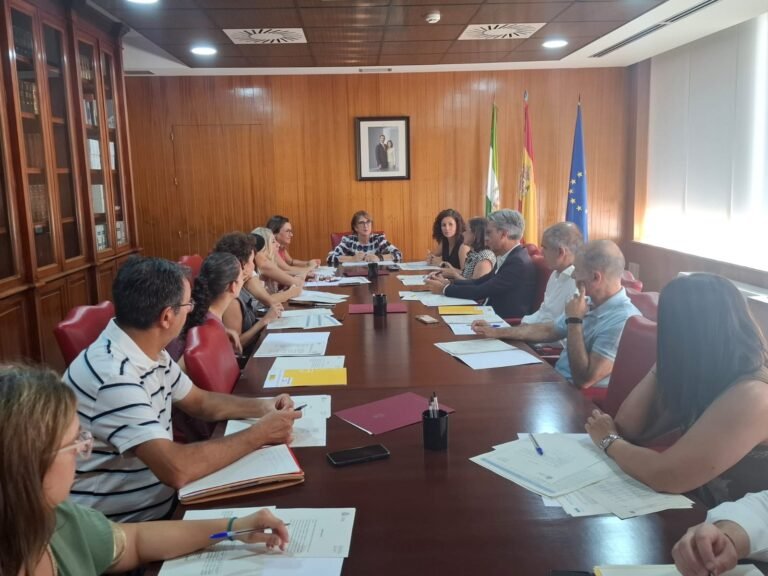 La Comisión Provincial de Seguimiento del PFEA aprueba la afectación provisional de 246 proyectos con una inversión de casi 48 millones de euros