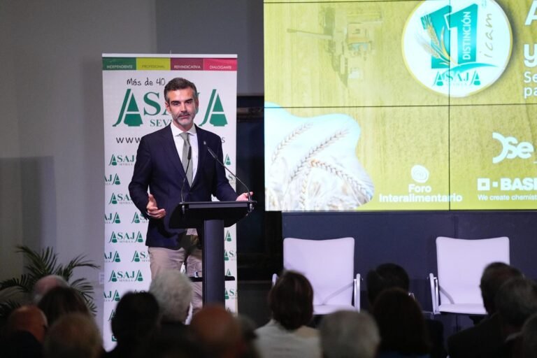 La Junta calcula en 2.000 millones de euros las posibles pérdidas en el sector agrario andaluz con la nueva PAC