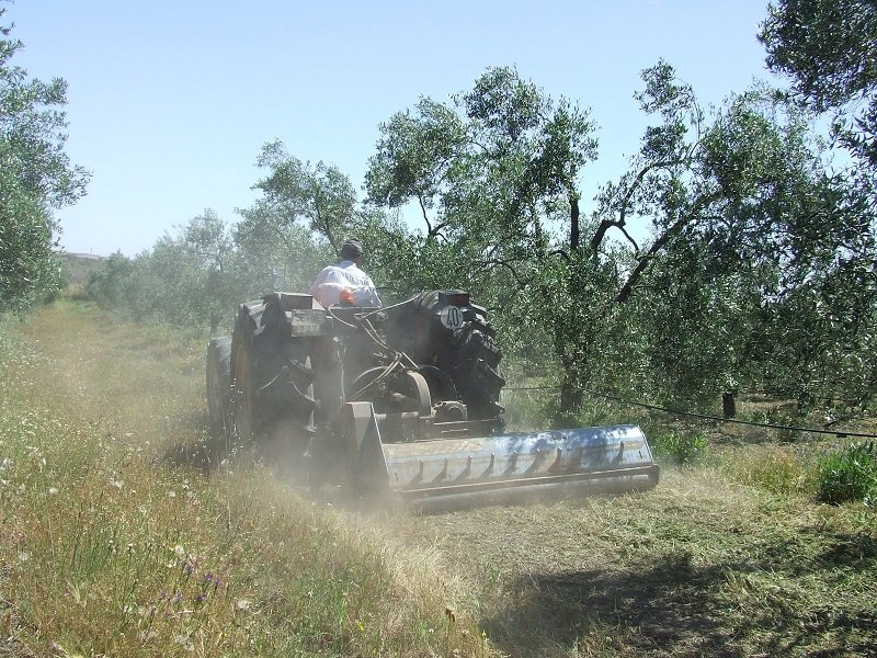 La Junta de Andalucía publica la Ley de impulso y promoción de la producción ecológica